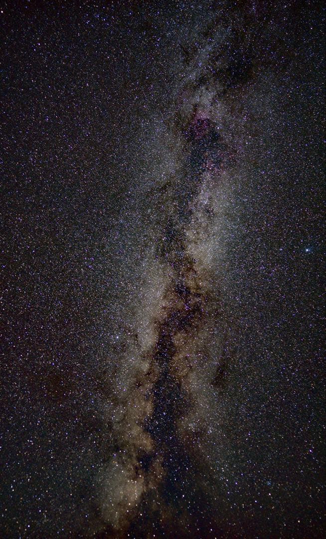 作例付き　TOKINA FiRIN 20mm F2 MF Eマウント　管mpr