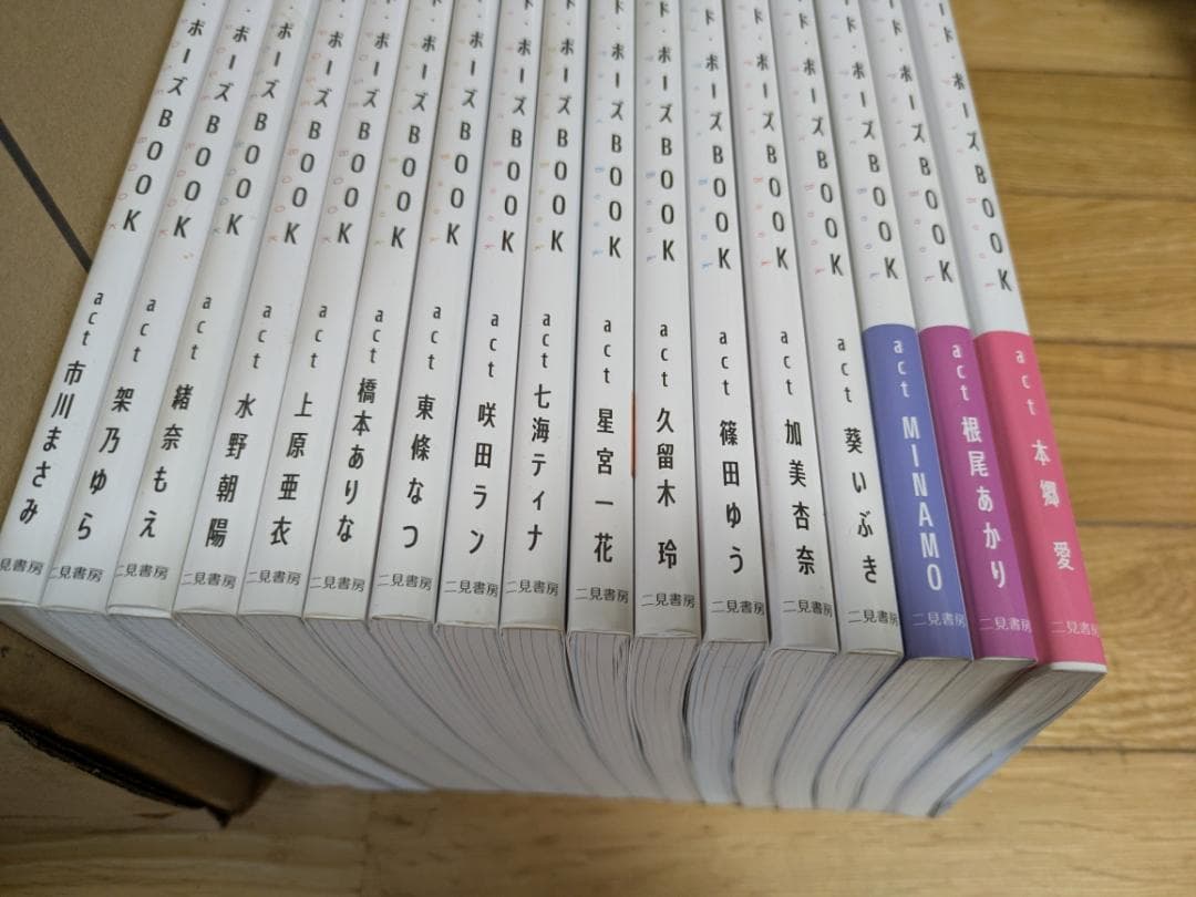 ビジュアルヌード・ポーズ BOOK １７冊セット