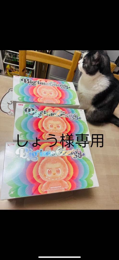 しょう‼THE MONSTERS Big into Energy ボックス