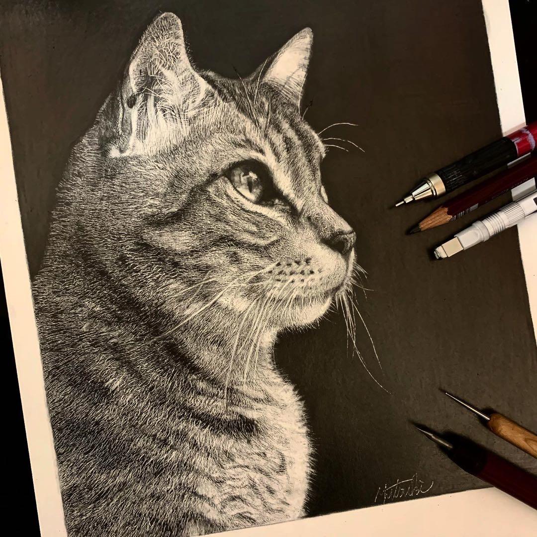 猫 鉛筆画