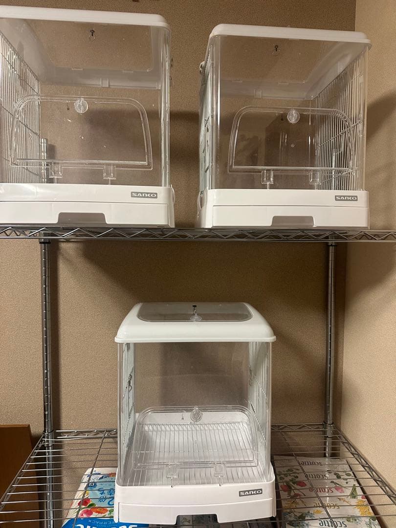 クリアバード35 3個