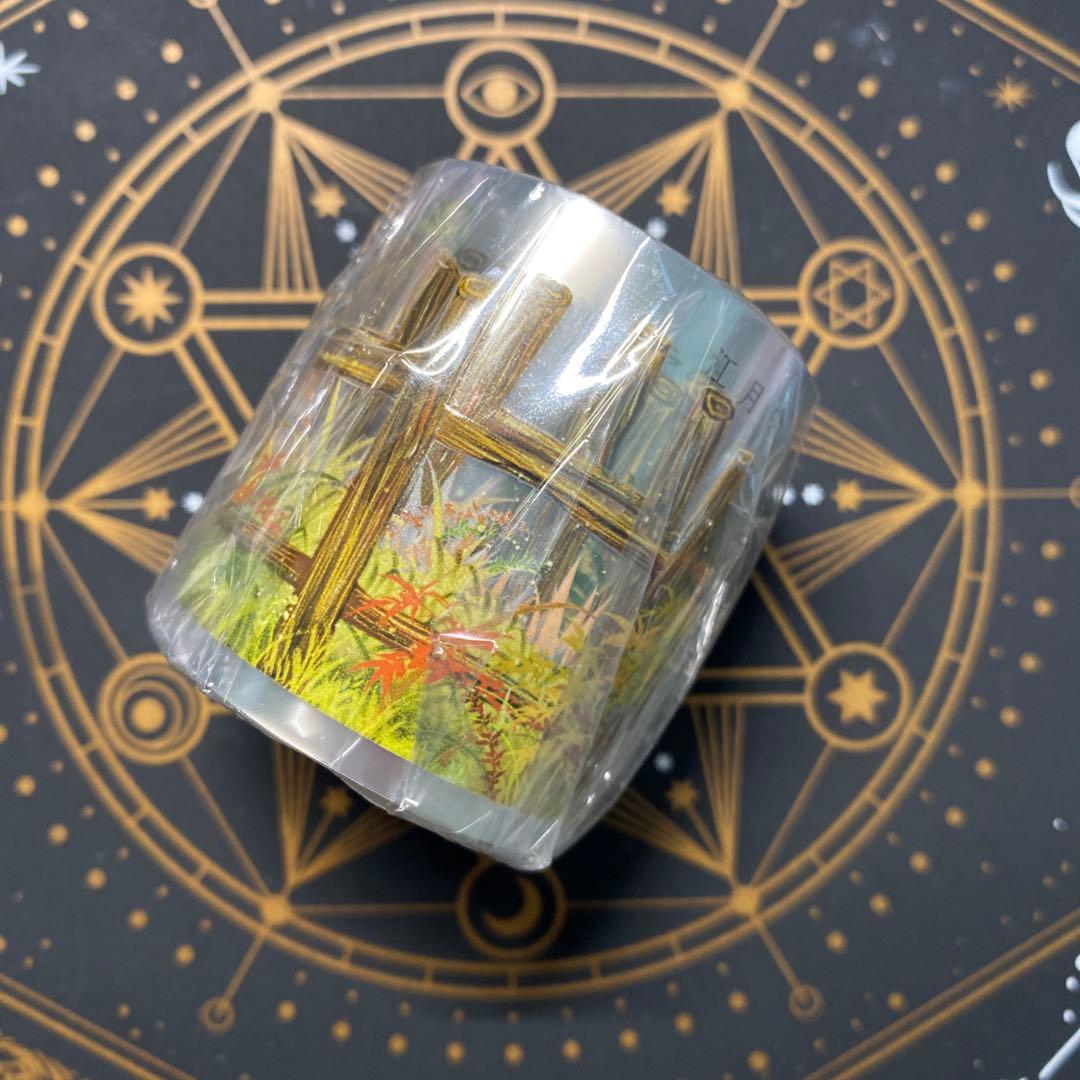 【9127】海外　マステ　5m巻　PETマスキングテープ　垣根　装飾系