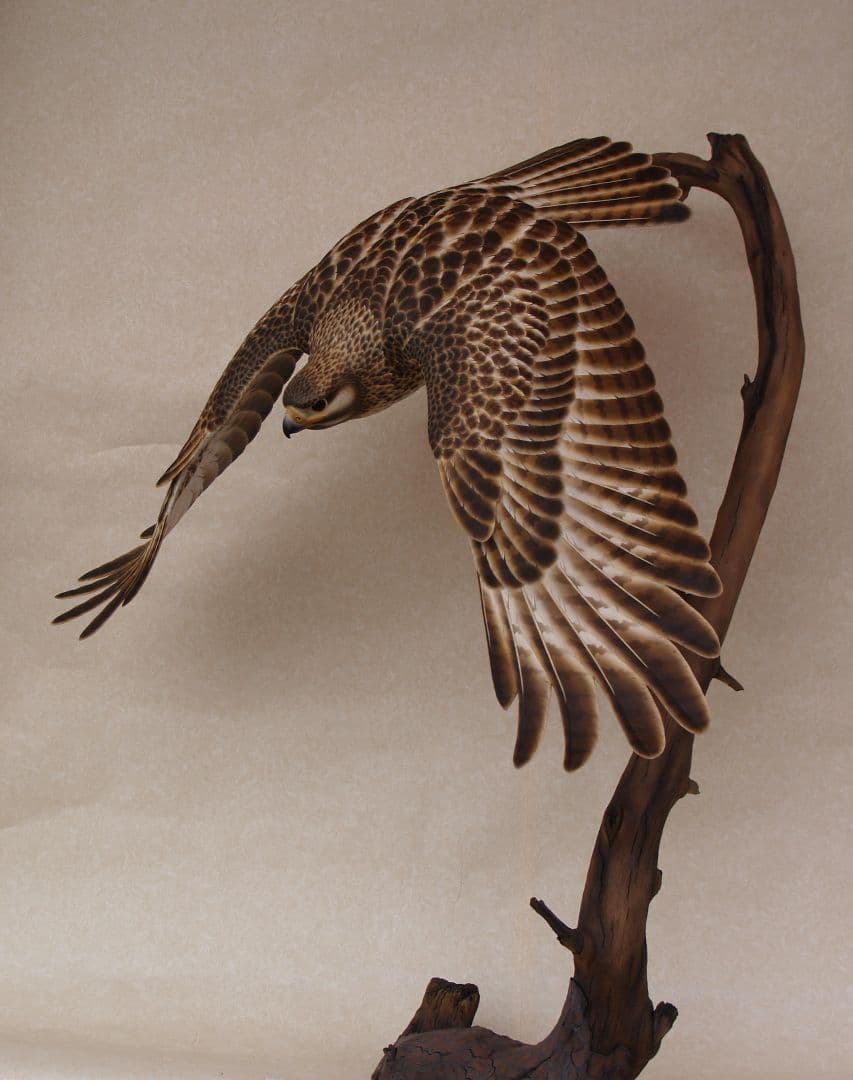 バードカービング ノスリ（リアルサイズ）