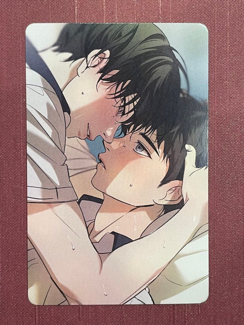 Backlight DAYBREAK日本限定トレカ 特典 韓国BL レジン