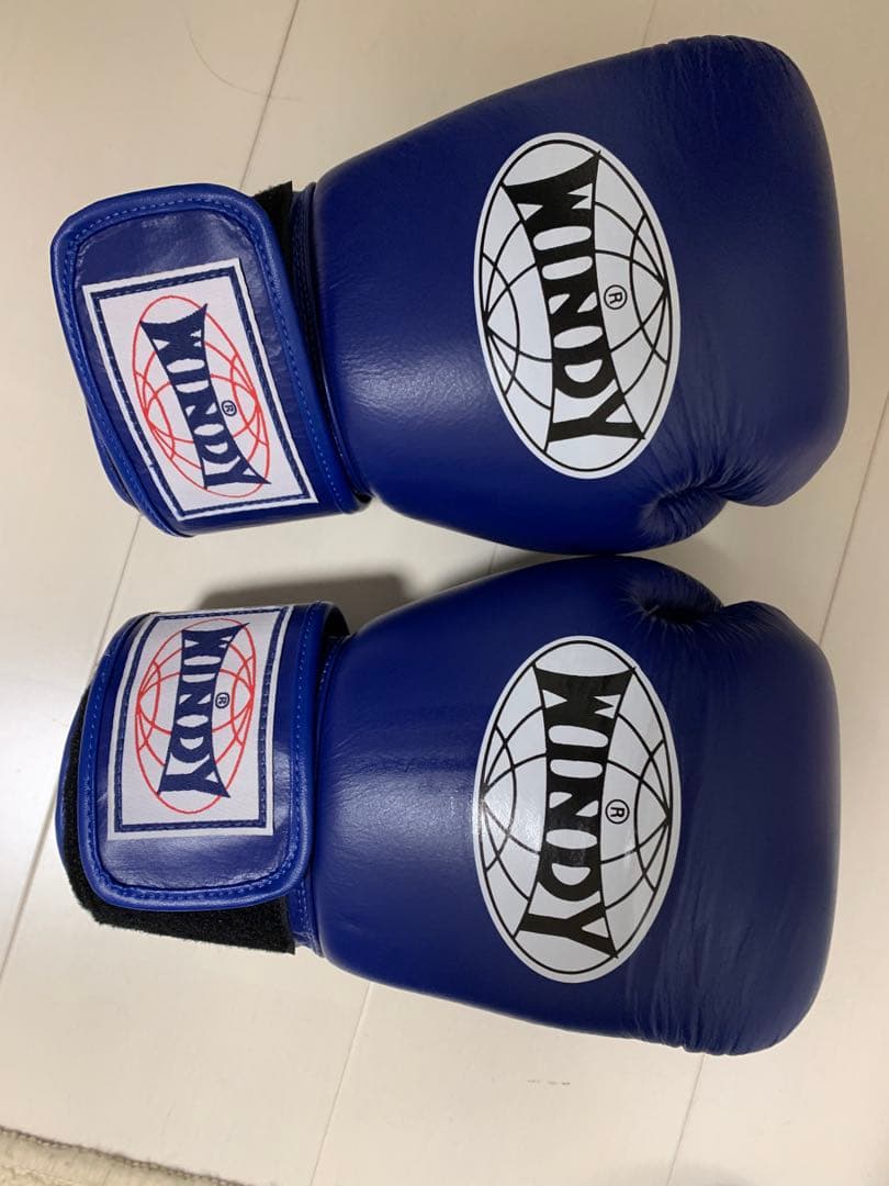 WINDY ボクシンググローブ 青