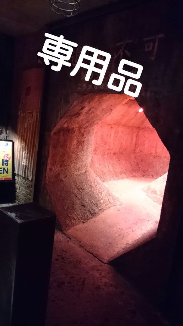 専用品となります。　英語版　未開封品