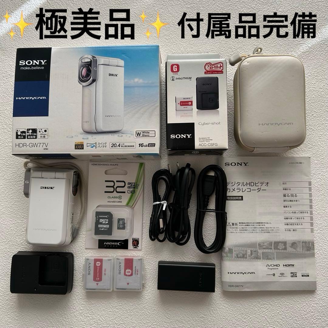 極美品✨SONY ハンディカム 防水カメラ HDR-GW77V 付属品完備　SD