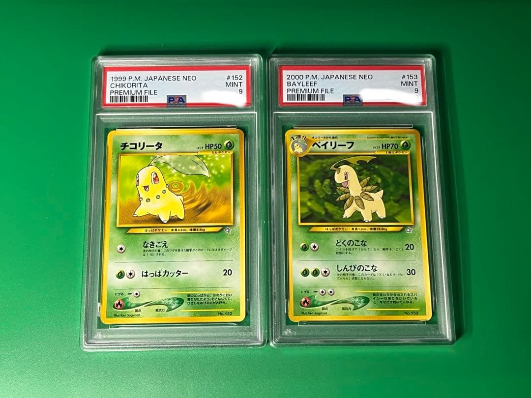 チコリータ＆ベイリーフ　旧裏　psa9