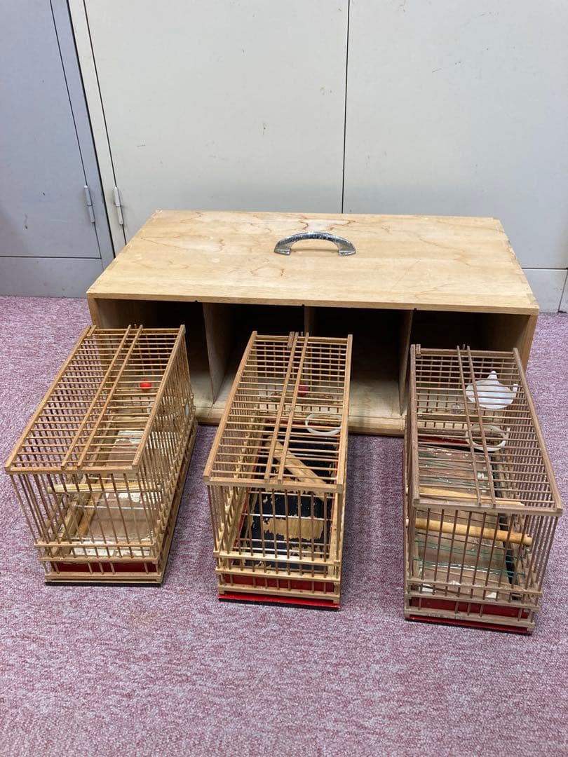 メジロ籠 3個 & 寝かせ箱 セット 送料込み