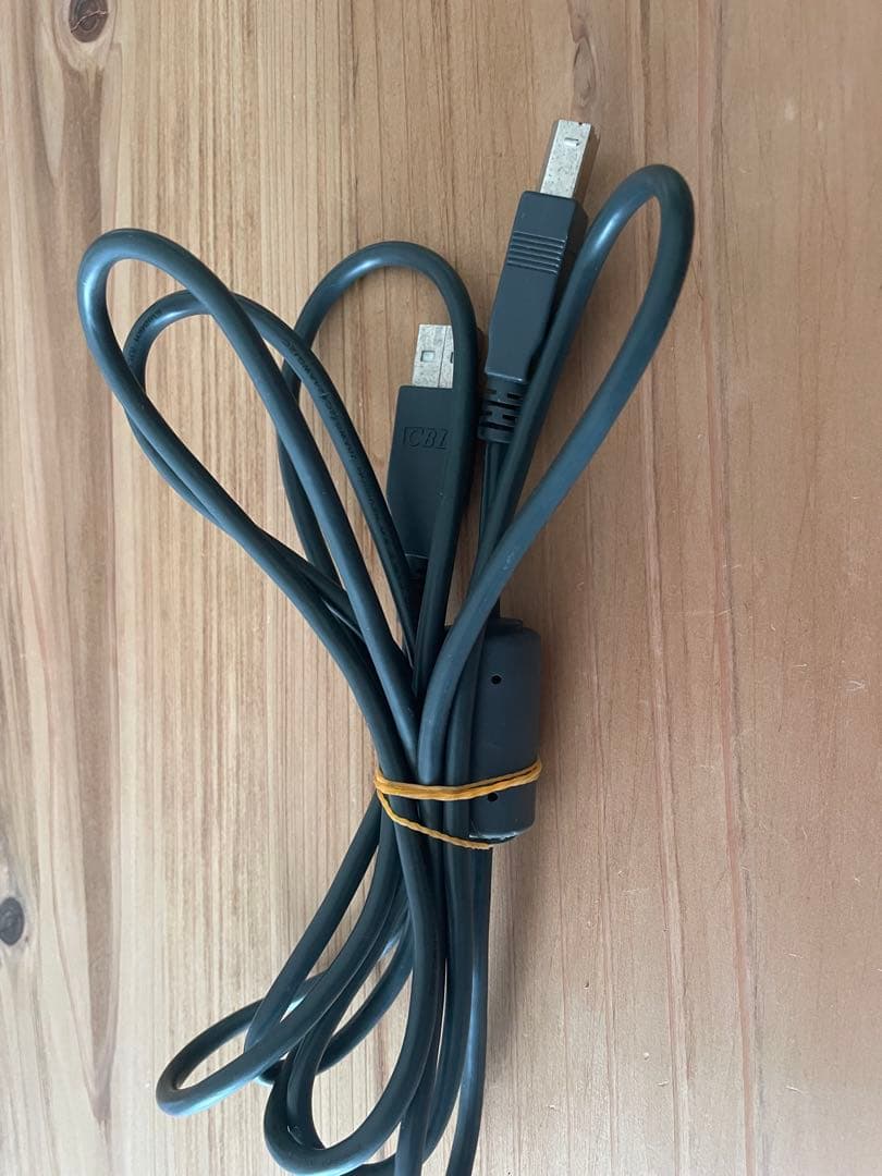 Konica Minolta DiMAGE Scan Dual IV 本体