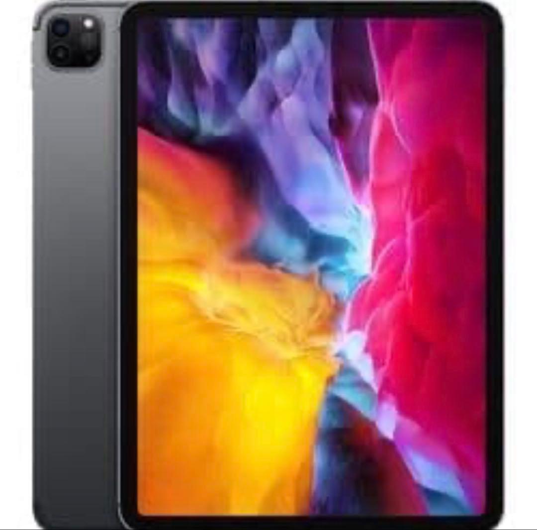 【だいじん様】iPad Pro 11インチ 第2世代 +Apple Pencil