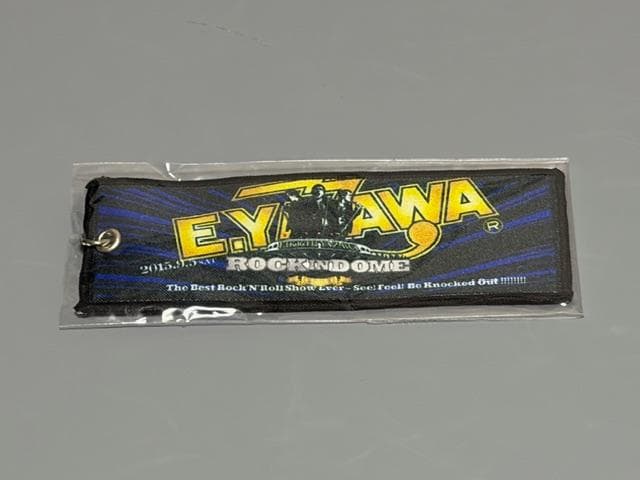 矢沢永吉 タオルキーホルダー Do It ! 2025 W会員限定くじ歴代 FC