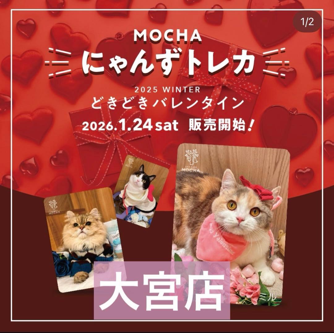 猫カフェmocha にゃんずトレカ どきどきバレンタイン 大宮アルシェ店