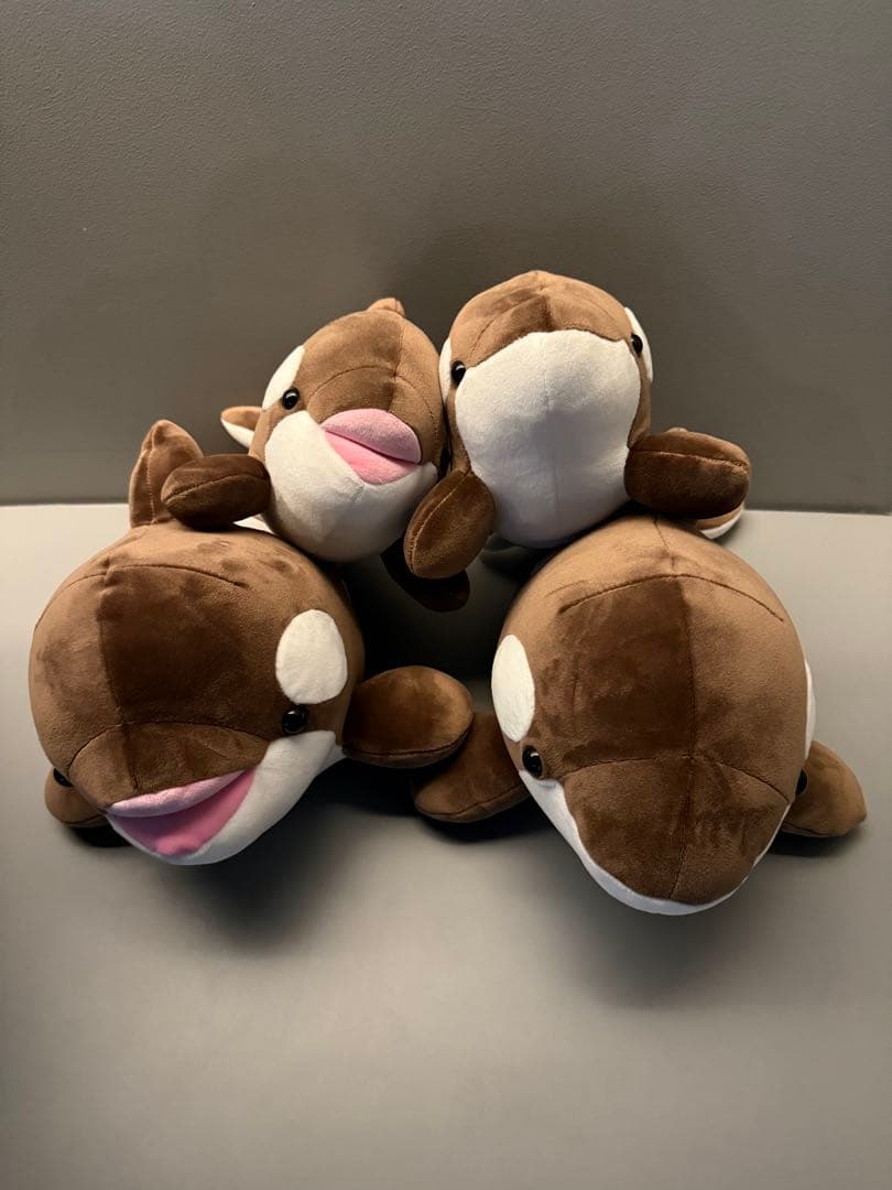 オルカくじ　新色　ショコラ・デュオ　3等　4等　4匹セット　須磨シーワールド