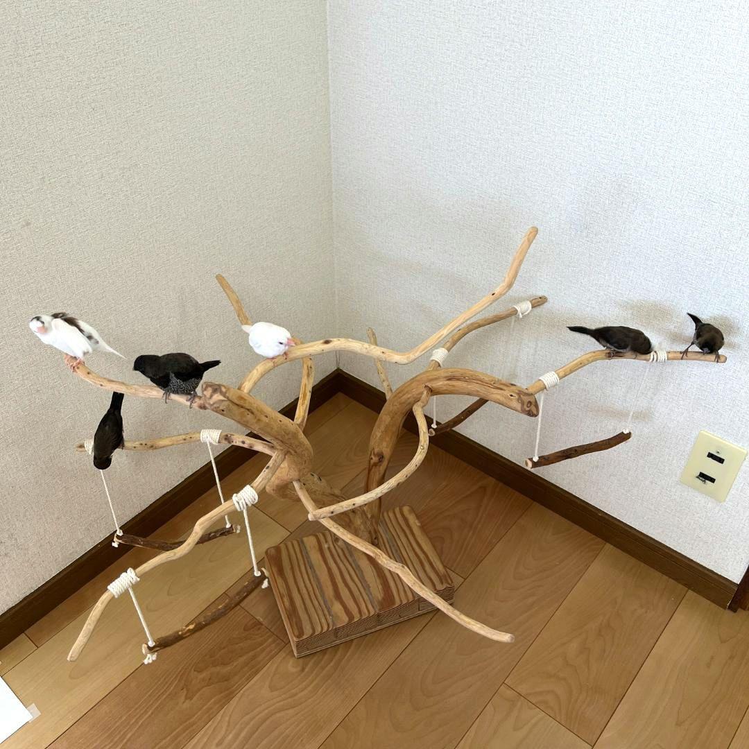 【小鳥用】ブランコ付くねくねバードアスレチック