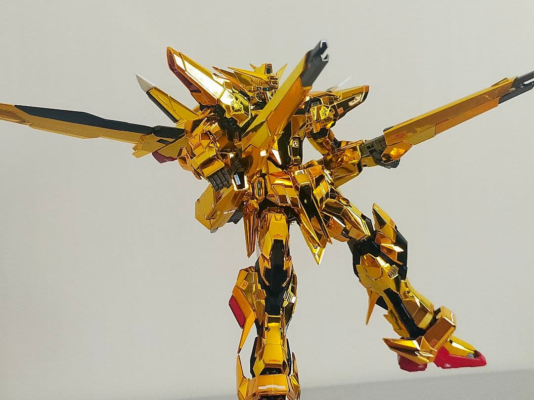 RG アカツキガンダム　オオワシ装備　塗装品
