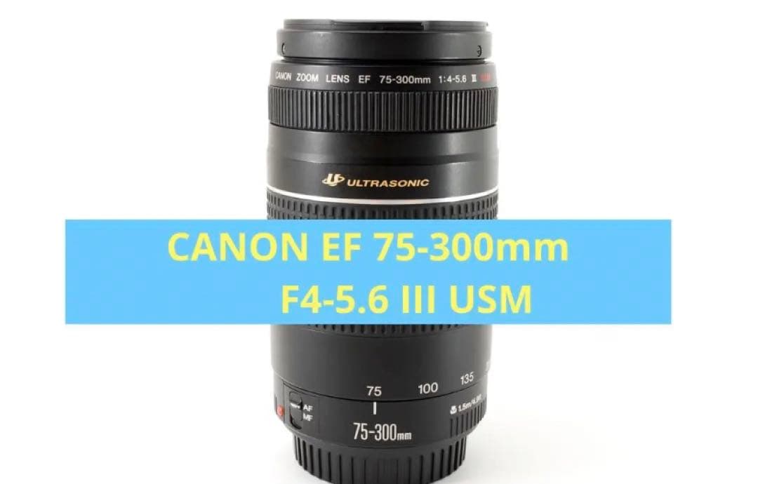 ☆デジタル一眼レフカメラ☆Canon EF75-300 USM☆