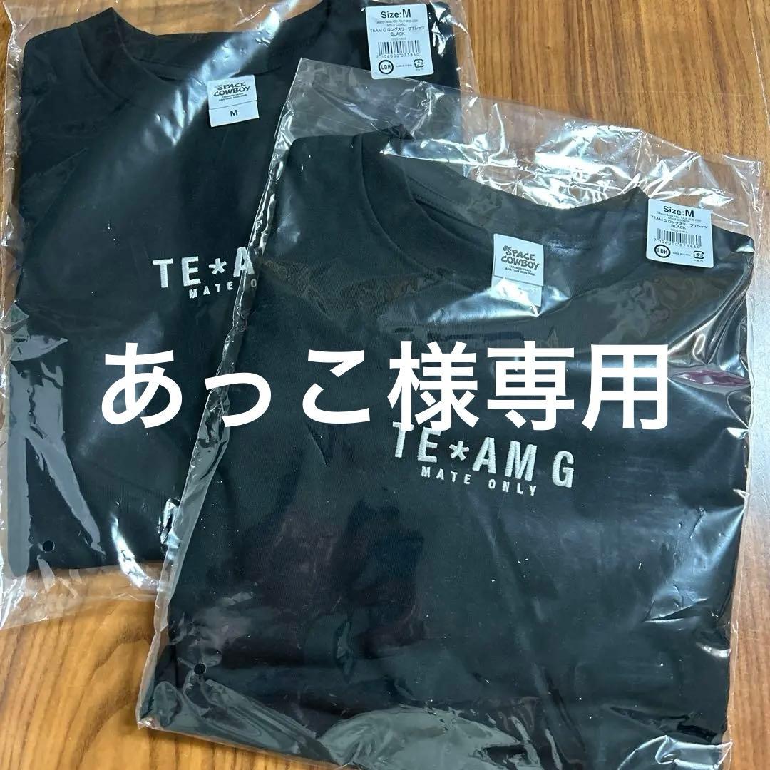 岩田剛典TEAM G ロングスリーブTシャツＭサイズ2枚