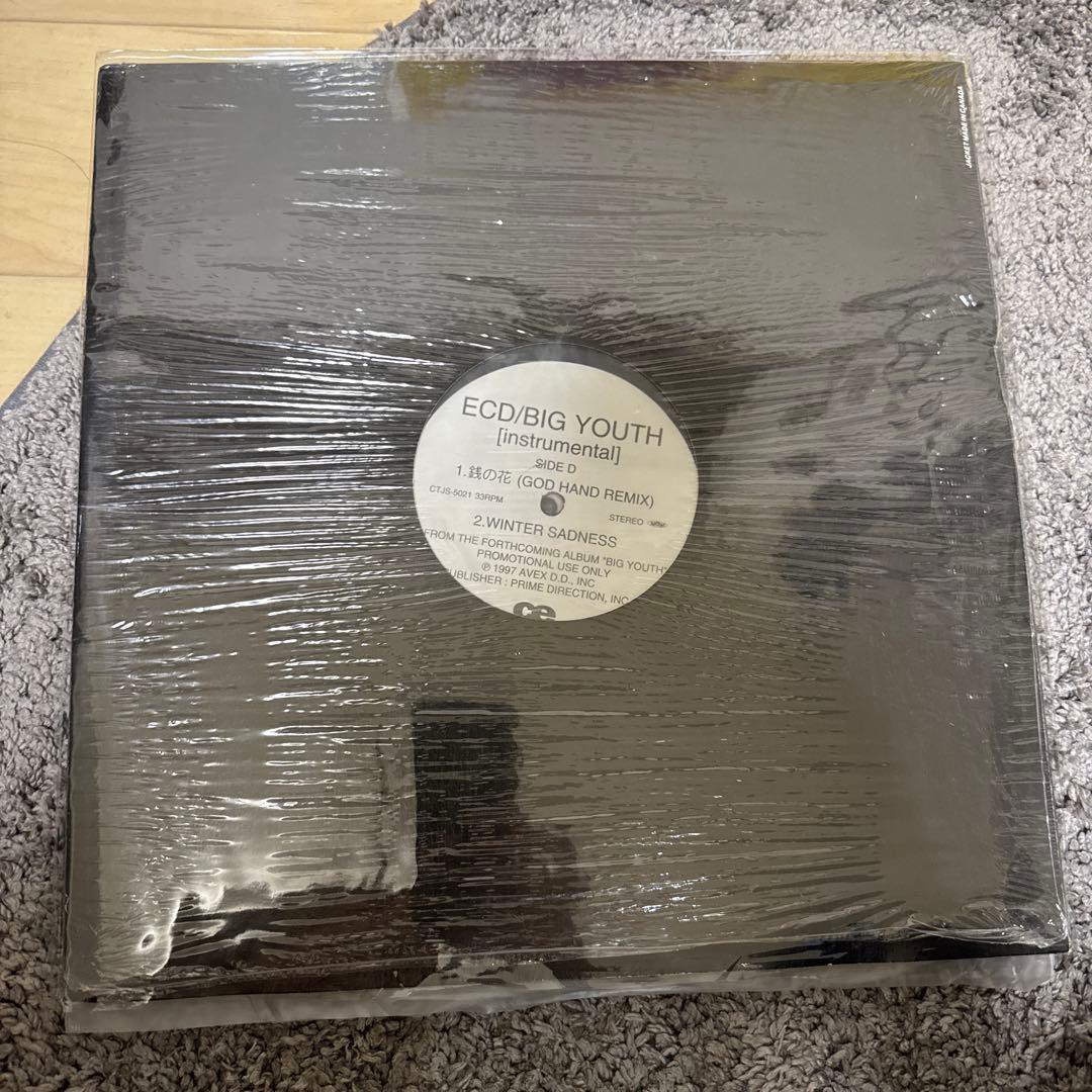 ECD/BIG YOUTH [instrumental] アナログ