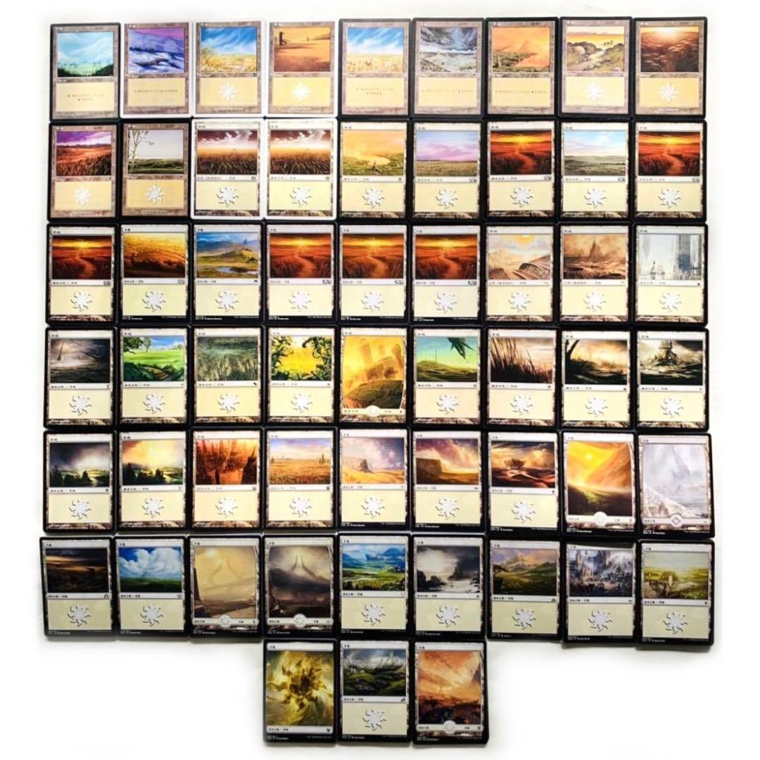 MTG 日本語製品版基本地形コンプリート 基本土地 4ED〜VOW迄 人気絵柄