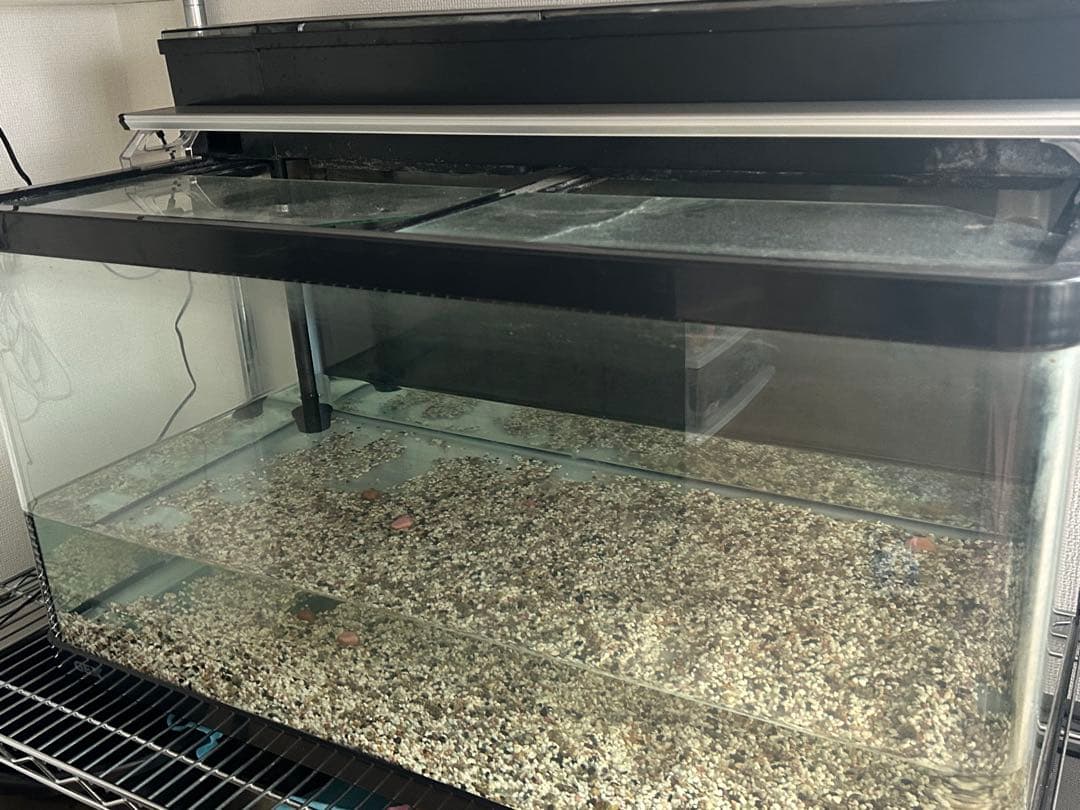 ＧＥＸ　ラピレスＲＶ９０　ＬＥＤセット