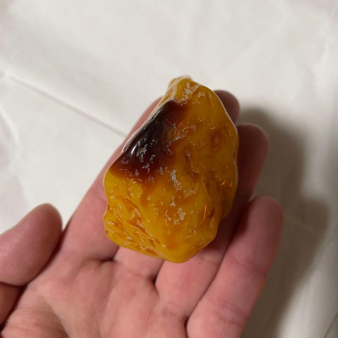 琥珀 原石 ロイヤルアンバー こはく パワーストーン 標本 化石 恐竜 博物館