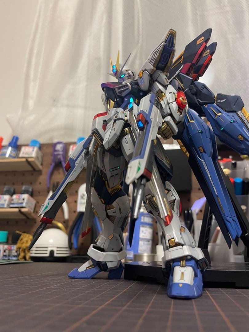 MGEXストライクフリーダム全塗装完成品
