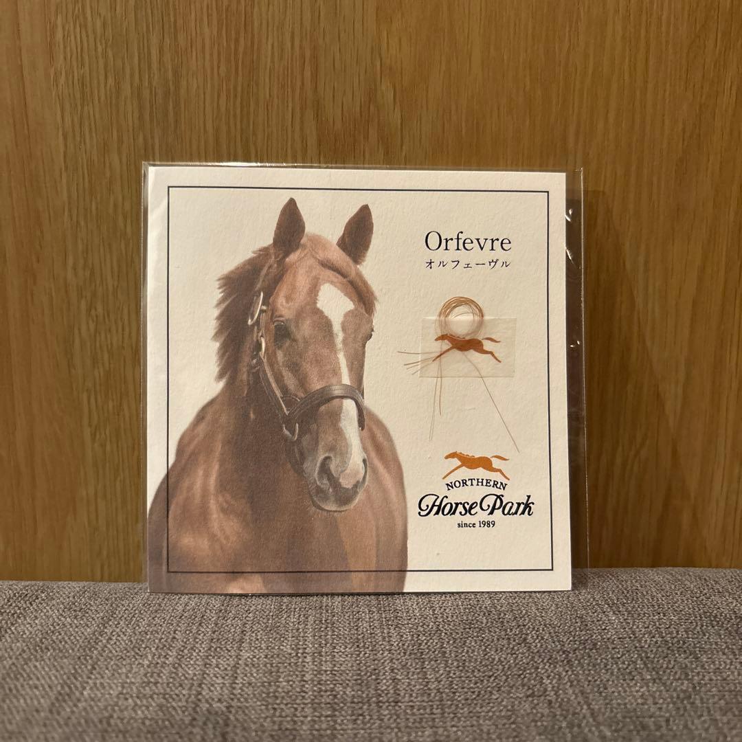 オルフェーヴル　たてがみ