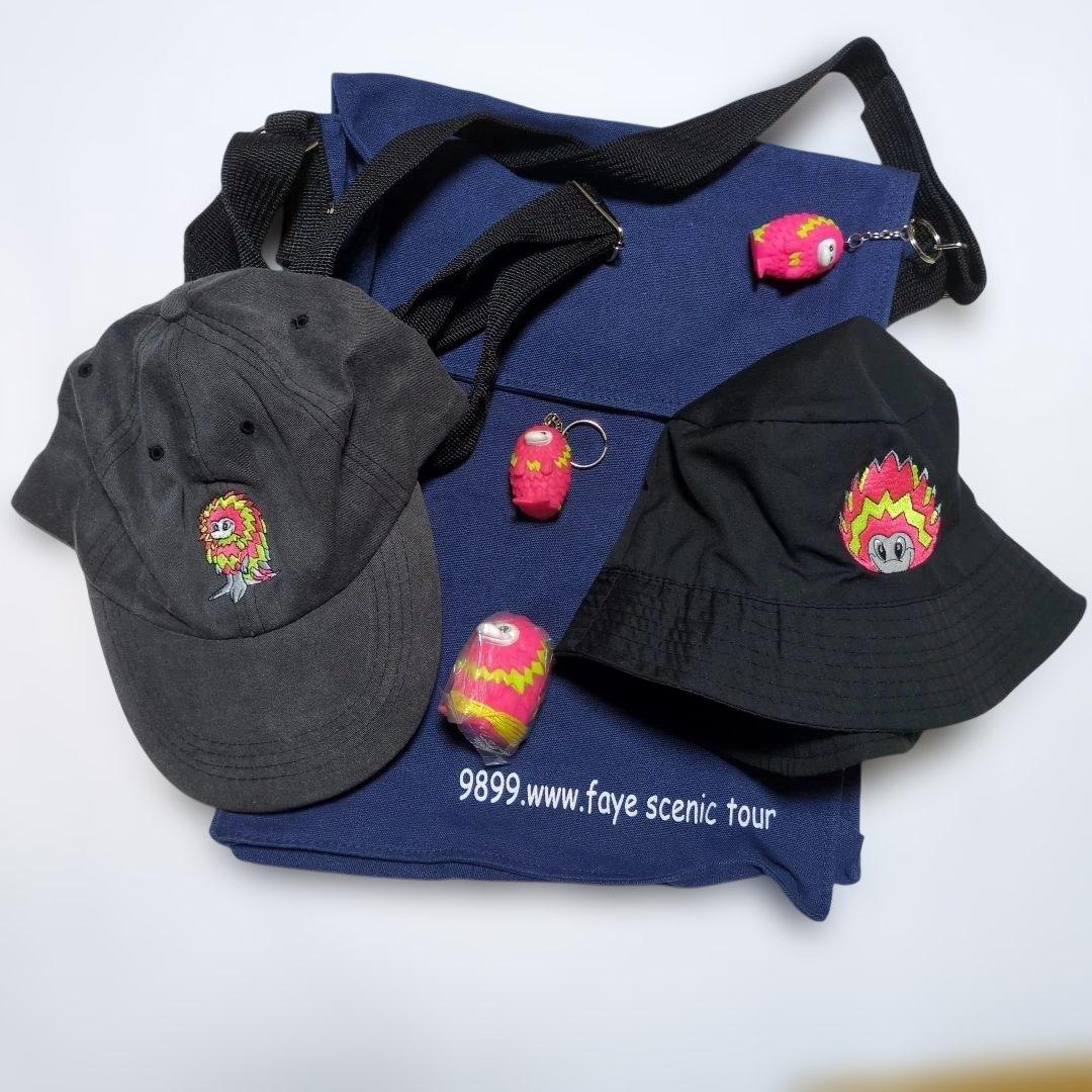 フェイ·ウォン✦香港シーニックツアー98-99のグッズ