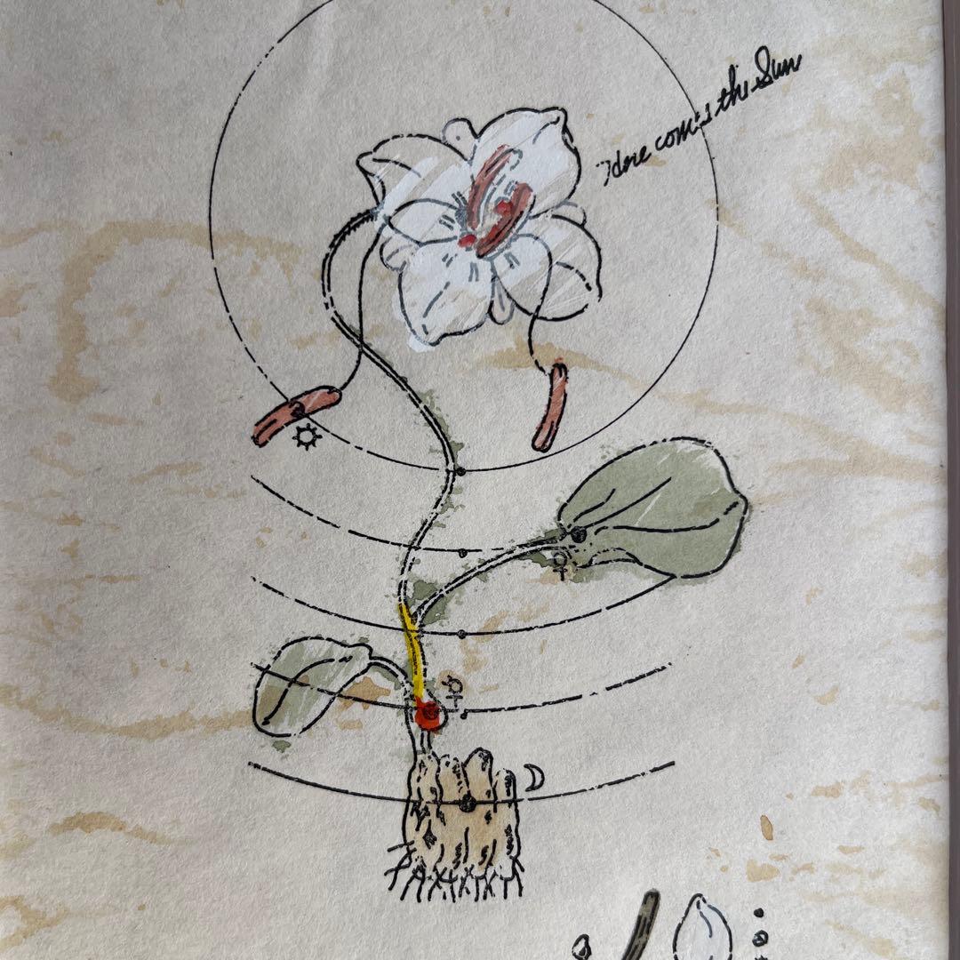 西岡文彦 版画 額装 直筆サイン シリアルNo.入 絵画