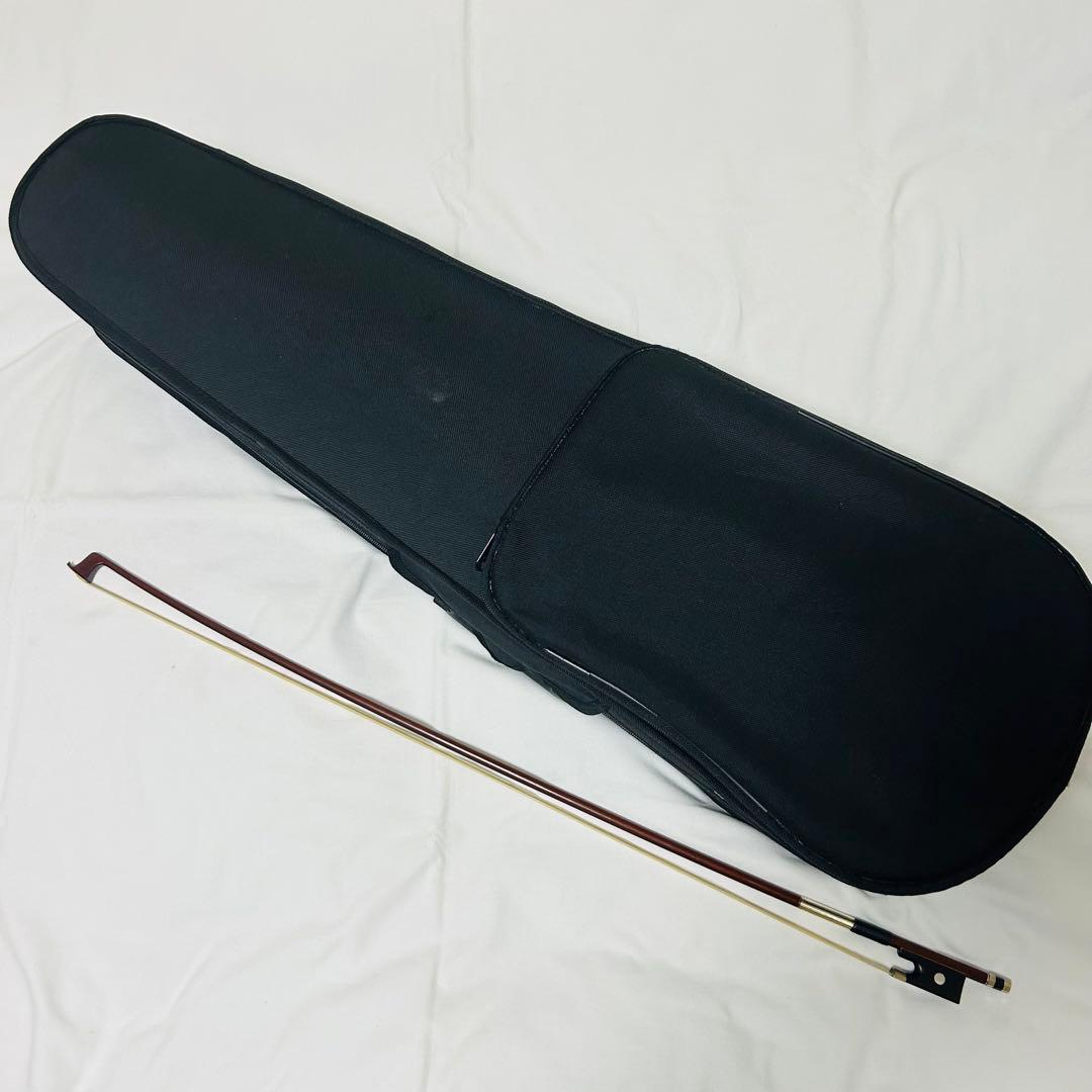 Hallstatt ハルシュタット CV-210E エレキバイオリン