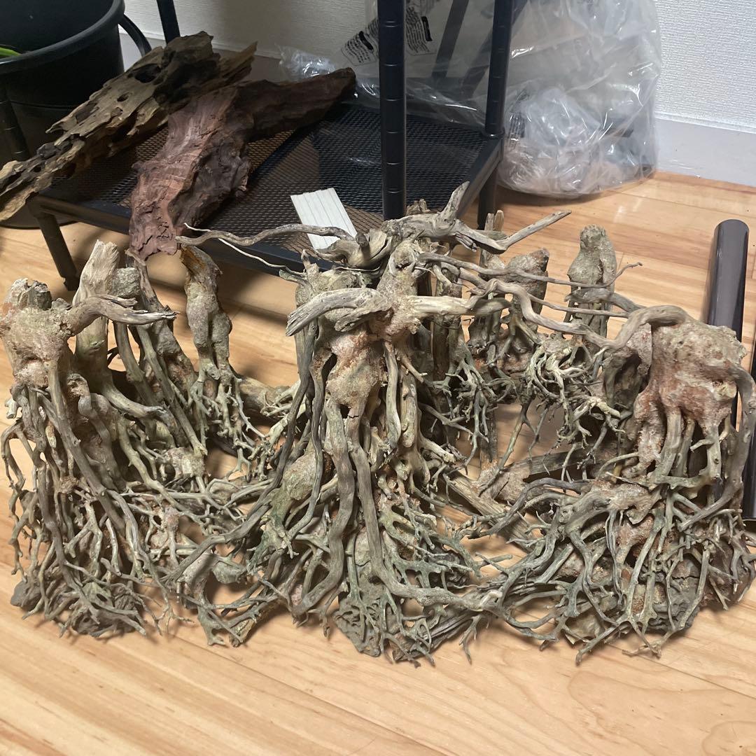 中型深い茂る熱帯雨林 盆栽 流木 天然流木 アクアリウム テラリウム