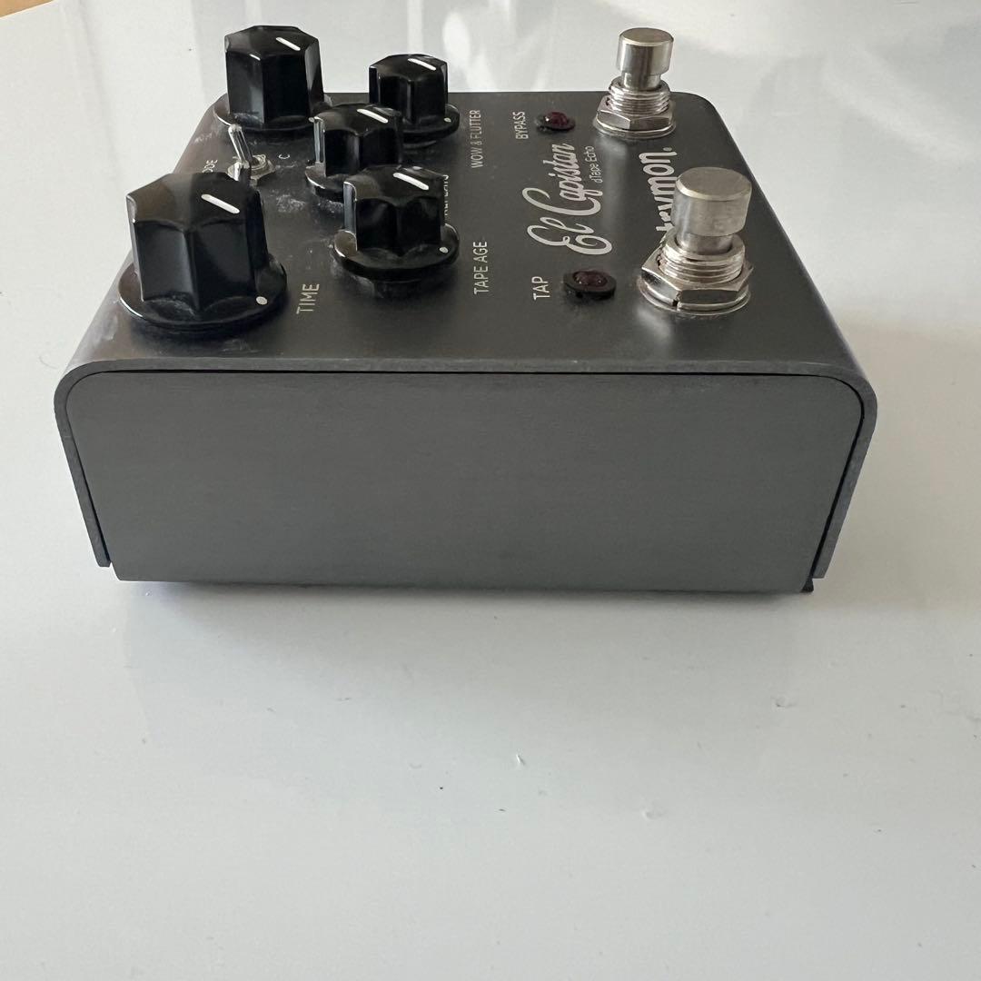 ギター strymon / el capistan