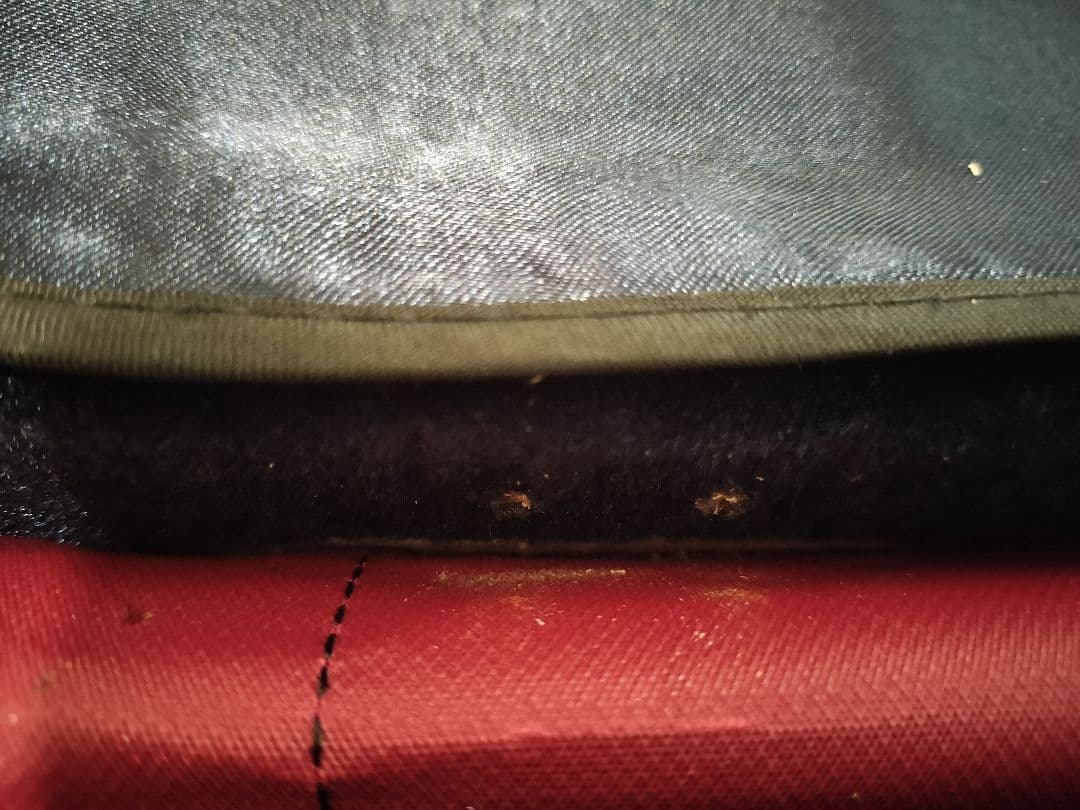 期間限定値引き！STENTOR バイオリン 1/10