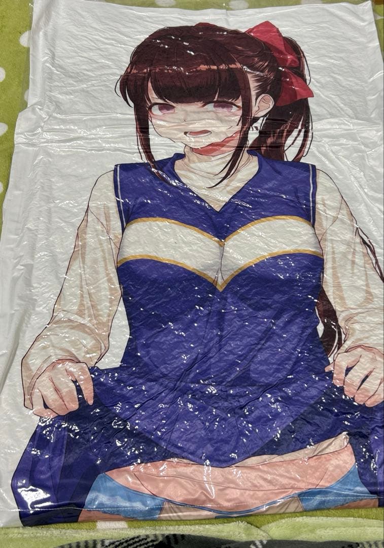 嫌な顔されながらおパンツ見せてもらいたい スクラッチ第二弾A賞膝枕クッションBD