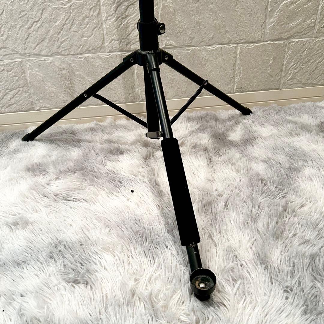 【完動美品】 Hallstatt RYB-200 アップライトベース