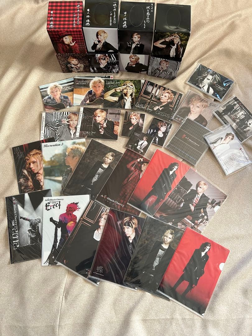 値上げ予定！Acid Black Cherry グッズまとめ売り③