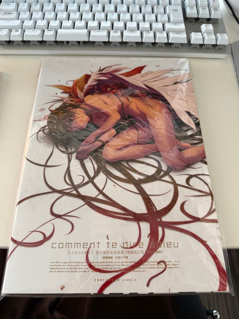 さよならを教えて　設定資料