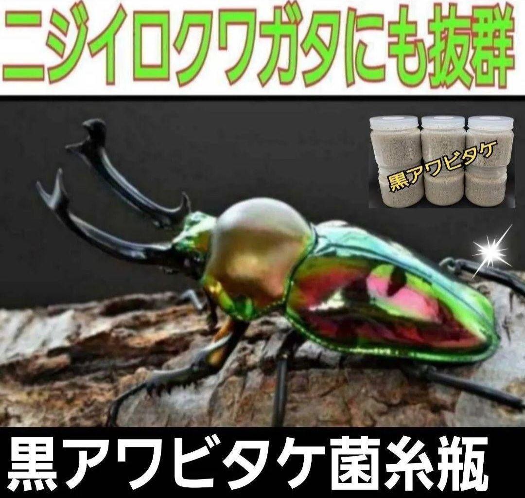 ニジイロクワガタに抜群！黒アワビタケ菌糸瓶【8本】トレハロース、キトサン配合！