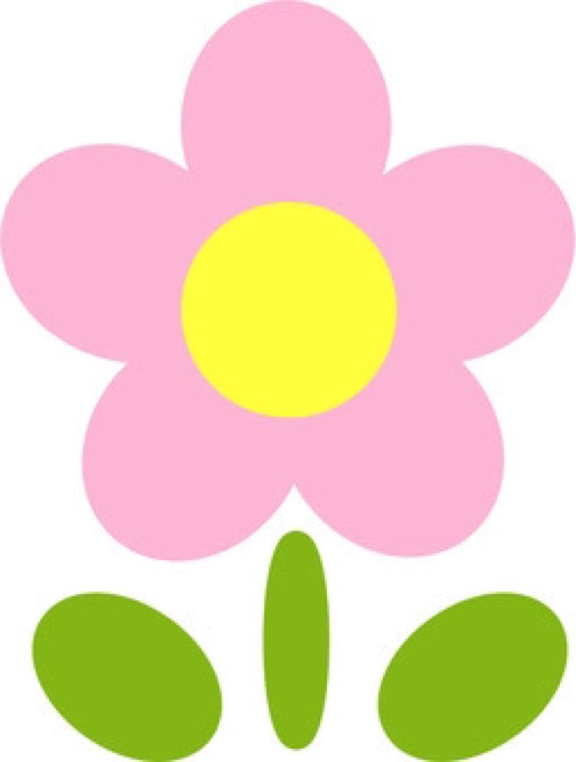 ※のの　RNAスカート