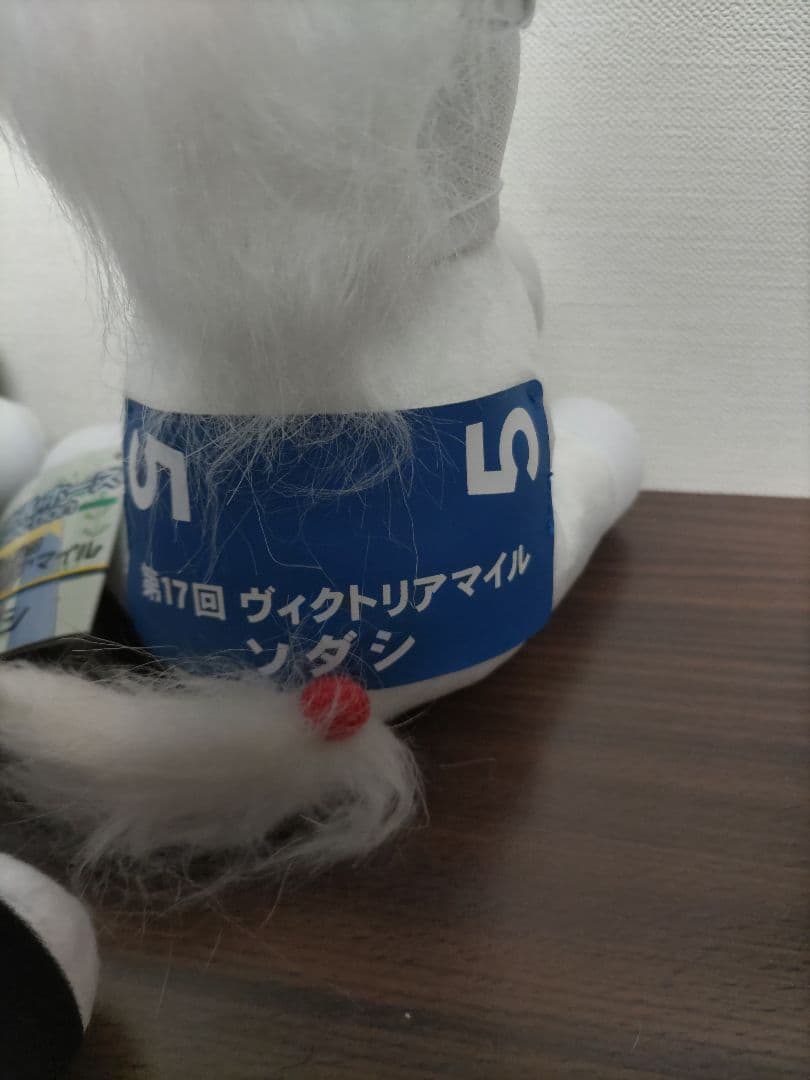 ソダシ引退セット　アイドルホース　競馬