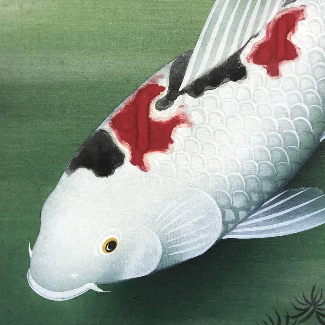 真作/國井幸雪/游鯉図/遊鯉/松鯉/花鳥図/掛軸☆宝船☆AK-630