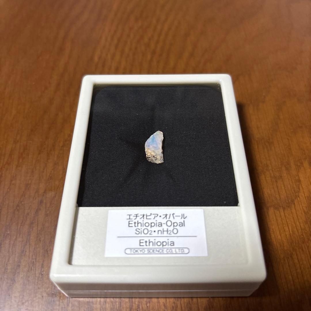 エチオピア・オパール 標本 東京サイエンス ケース入り