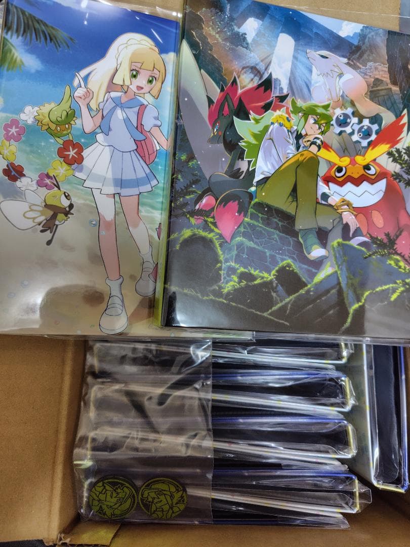 コレクションファイル  リーリエ 21個 N 6個 セット