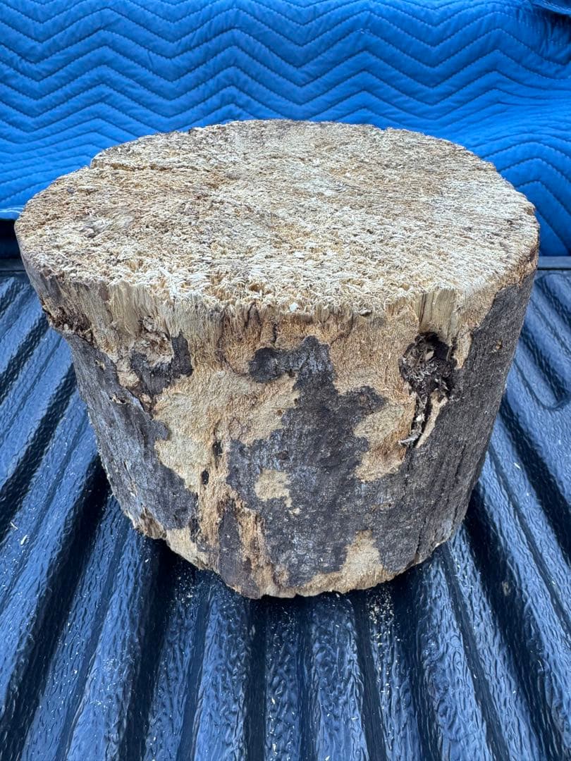 ベトナム材　VN材　13cm×18cm 産卵材