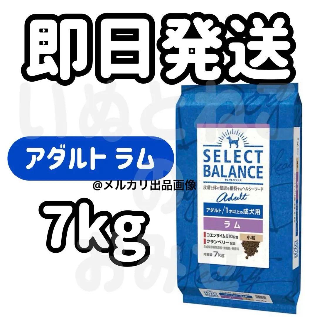 【7kg】セレクトバランス アダルトラム 1才以上 成犬用 ドッグフード