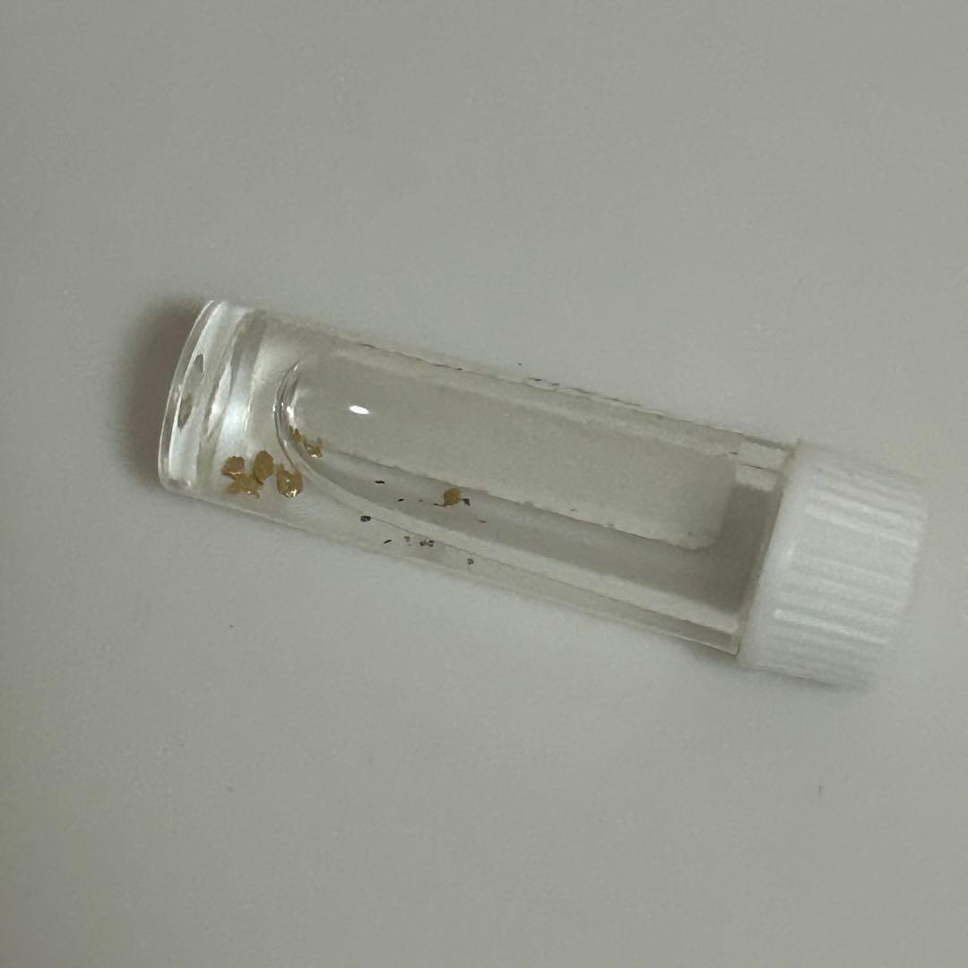 金の粒 佐渡西三川ゴールドパーク採取