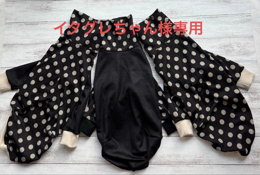 イタグレちゃん