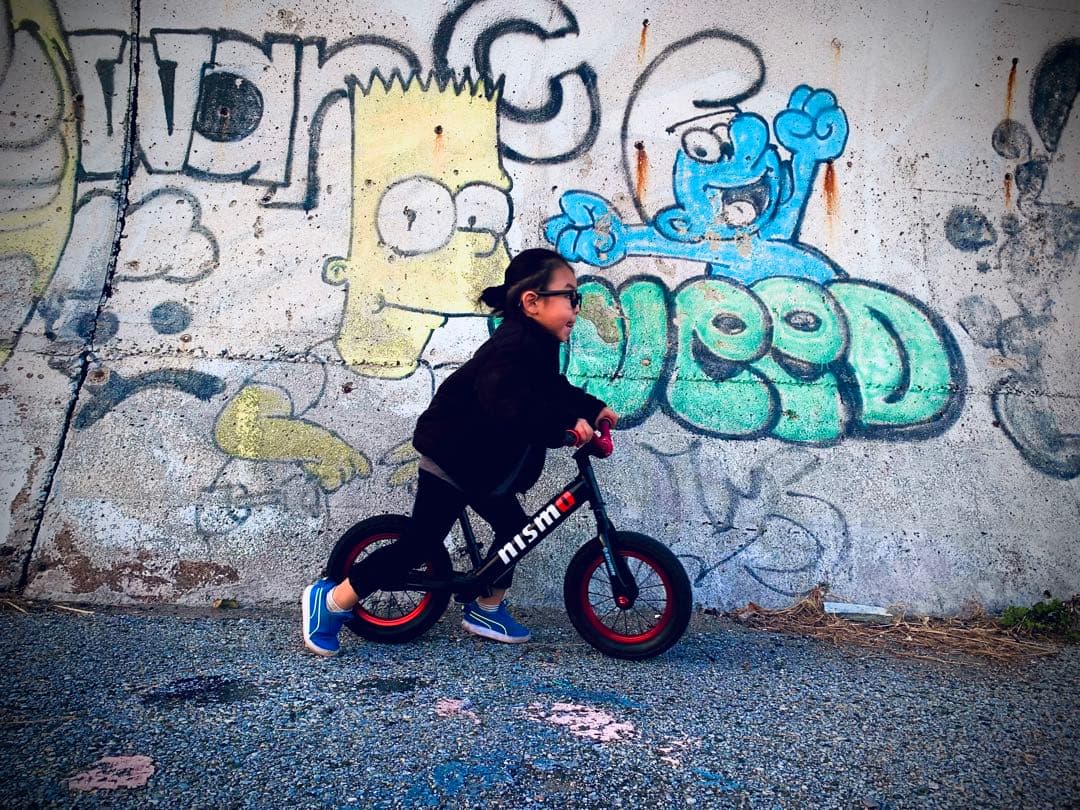 【STRIDER】ストライダー カスタム