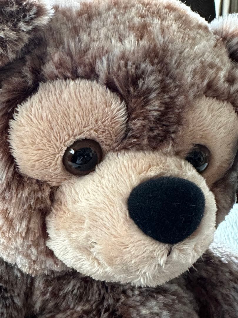 ❤︎超絶美形可愛い❤︎ タグ付き WDW ディズニーベア 霜降り マーブル ダッフィ